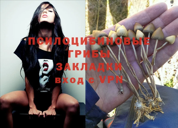 ешки Бугульма