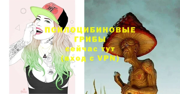 дмт Бронницы