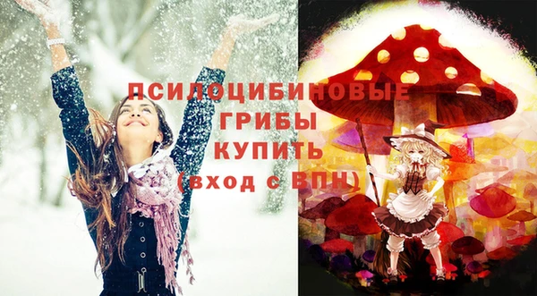 дмт Бронницы
