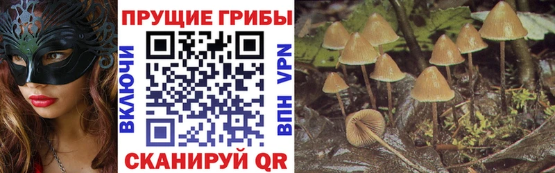 Псилоцибиновые грибы прущие грибы  Дигора 